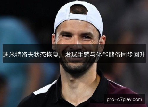 迪米特洛夫状态恢复,发球手感与体能储备同步回升 迪米特洛夫状态恢复,发球手感与体能储备同步回升
